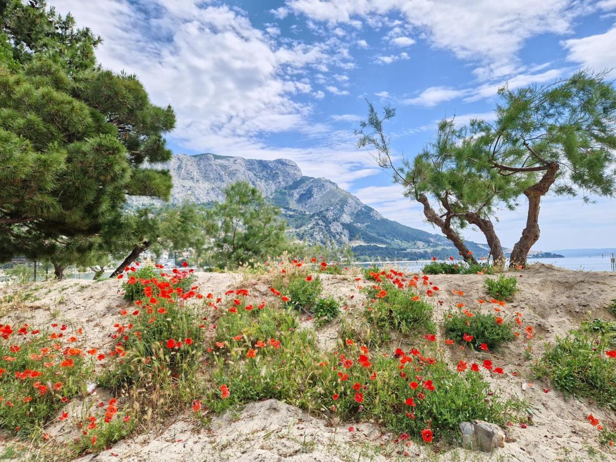 Apartman River Breeze Omis Bagian luar foto